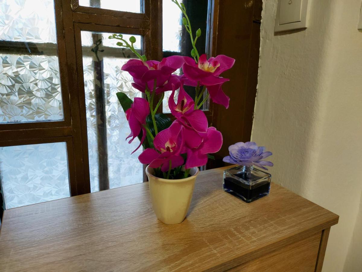 Lovely, Neat And Quite Apartment Dalia, Private Parking SJJ Extérieur photo